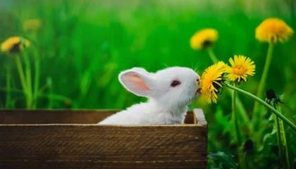 文山2026年最新杭州高端商务伴游招聘网渠道分享(最方便真实的文山茉莉伴游伴游天下全国联盟方法)